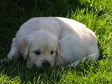 4 Wochen (15)