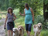 Wir treffen die Snow Blink Golden in Bellinzona Sommer 2013
