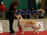 Nicoletta und Ninni