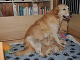 Babys von Ivy 3 Wochen 4