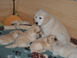 Jeanne und die Ivy& Kalix Babys 