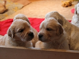 Jvy & Kalix (10)
