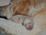 Mami und Baby