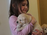 IMG_1583