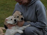 IMG_1857