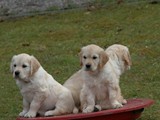 IMG_1873