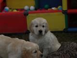 IMG_1891