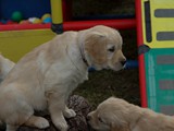 IMG_1892
