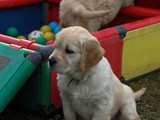 IMG_1900