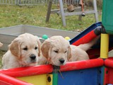 IMG_1903