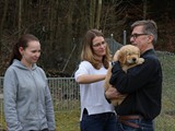 Welpenbesitzer von Sambesi