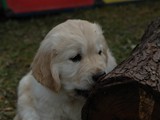 IMG_1937