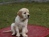 IMG_1944